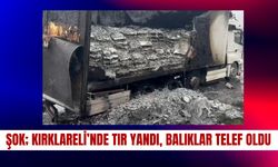 ŞOK; Kırklareli’nde Tır Yandı, Balıklar Telef Oldu