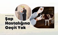 Kırklareli’nde Şap Hastalığına Geçit Yok