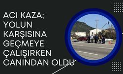 Acı Kaza; Yolun Karşısına Geçmeye Çalışırken Canından Oldu