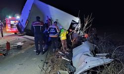 Feci Kaza; Tırla Kamyonet Çarpıştı, 2 Ölü