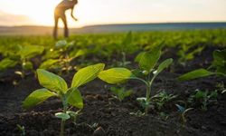 TRAKYAKA Kırsal Kalkınma Desteklerini Sürdürüyor
