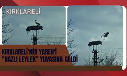 Kırklareli'nin Yaren'i "Nazlı Leylek" Yuvasına Geldi