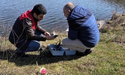 Kırklareli; Göl ve Göletlerde İncelemeler Yapıldı