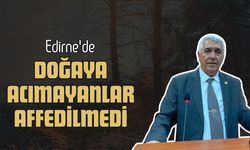 Edirne'de Doğaya Acımayanlar Affedilmedi