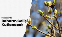 Babaeski’de Baharın Gelişi Kutlanacak