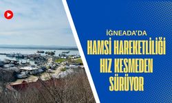 İğneada’da Hamsi Hareketliliği Hız Kesmeden Sürüyor