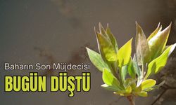 Baharın Son Müjdecisi Bugün Düştü