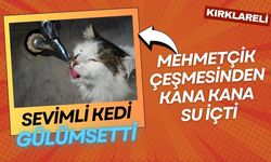 SEVİMLİ KEDİ GÜLÜMSETTİ; Mehmetçik Çeşmesinden Kana Kana Su İçti