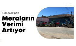 Kırklareli’nde Meraların Verimi Artıyor