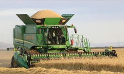 Tarım-ÜFE Yine Arttı