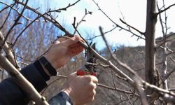 Halk Eğitim Merkezinden Bir Kurs Daha