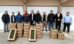 Kırklareli'nde Üreticiler Domates Fidelerine Kavuştu