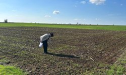 Lüleburgaz, Tarım Alanı Yoğunluk Sıralamasında İlk 20’de