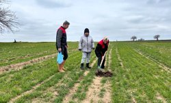 Kırklareli; Hem Bilgilendirme Hem de İnceleme