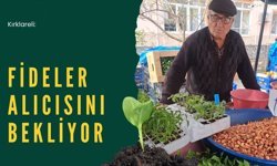 Kırklareli: Fideler Alıcısını Bekliyor