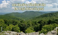 Demirköy Türkiye'nin En Yeşil İkinci İlçesi