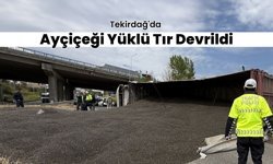 Tekirdağ'da Ayçiçeği Yüklü Tır Devrildi