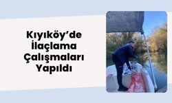 Kıyıköy’de İlaçlama Çalışmaları Yapıldı