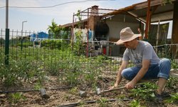 Cumhurbaşkanı Erdoğan’ın Talimatıyla Hobi Bahçeleri Yeniden Ele Alınacak