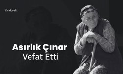 Kırklareli: Asırlık Çınar Vefat Etti