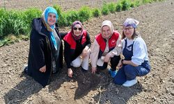 Babaeski’de Kadın Üreticiler Ziyaret Edildi