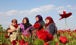 Kuştepe’de Kırmızı Şöleni