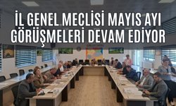 İl Genel Meclisi Mayıs Ayı Görüşmeleri Devam Ediyor