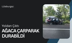 Lüleburgaz: Yoldan Çıktı Ağaca Çarparak Durabildi
