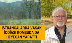 Istrancalarda Vaşak İddiası Komşuda da Heyecan Yarattı
