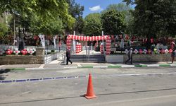 Dingiloğlu Büyük Açılışa Hazır!
