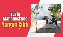 Kırklareli: Yayla Mahallesi'nde Yangın Çıktı