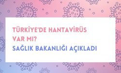 Türkiye'de Hantavirüs var mı? Sağlık Bakanlığı Açıkladı