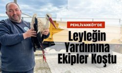 Pehlivanköy’de Leyleğin Yardımına Ekipler Koştu