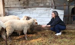 Kırklareli’ndeki Köyüne Döndü Hem Muhasebecilik Hem Çiftçilik Yapıyor