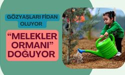 Gözyaşları Fidan Oluyor, “Melekler Ormanı” Doğuyor