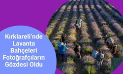 Kırklareli’nde Lavanta Bahçeleri Fotoğrafçıların Gözdesi Oldu