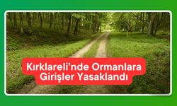 Kırklareli’nde Ormanlara Girişler Yasaklandı