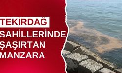 Tekirdağ Sahillerinde Şaşırtan Manzara: Deniz Renk Değiştirdi