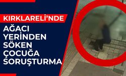 Kırklareli'nde Ağacı Yerinden Söken Çocuğa Soruşturma