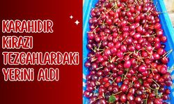 Karahıdır Kirazı Tezgahlardaki Yerini Aldı