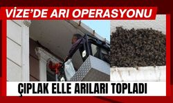 VİZE’DE ARI OPERASYONU; Çıplak Elle Arıları Topladı