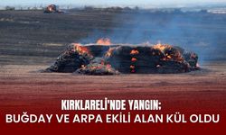 KIRKLARELİ'NDE YANGIN; Buğday Ve Arpa Ekili Alan Kül Oldu