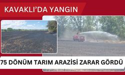 KAVAKLI’DA YANGIN; 75 Dönüm Tarım Arazisi Zarar Gördü