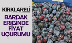 Kırklareli; Bardak Eriğinde Fiyat Uçurumu