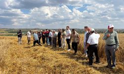 Asilbeyli Köyünde Yulaf Tarla Günü Yapıldı
