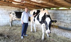 Kırklareli; Eski Hükümlünün Hedefi Modern Tesis Kurmak