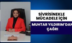Sivrisinekle Mücadelede Muhtar Yıldırım’dan Çağrı