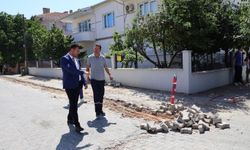 Başkan Yayla Çalışmaları Yerinde İnceledi