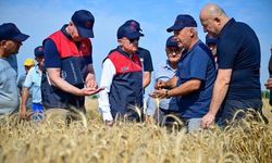 Vali Turan Üreticilerle Hasat Etkinliğinde Buluştu