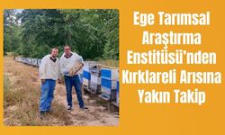 Ege Tarımsal Araştırma Enstitüsü’nden Kırklareli Arısına Yakın Takip
